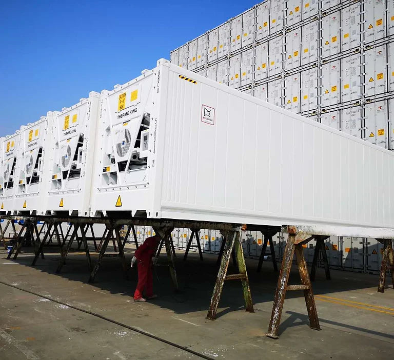 Contenitore Refrigerato